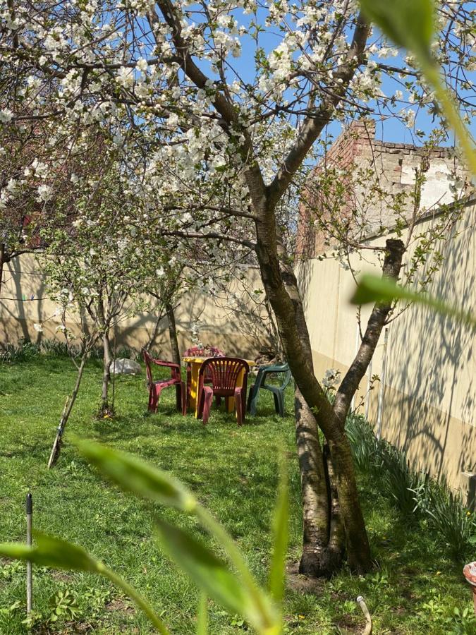 Zen House Albergue Timisoara Exterior foto